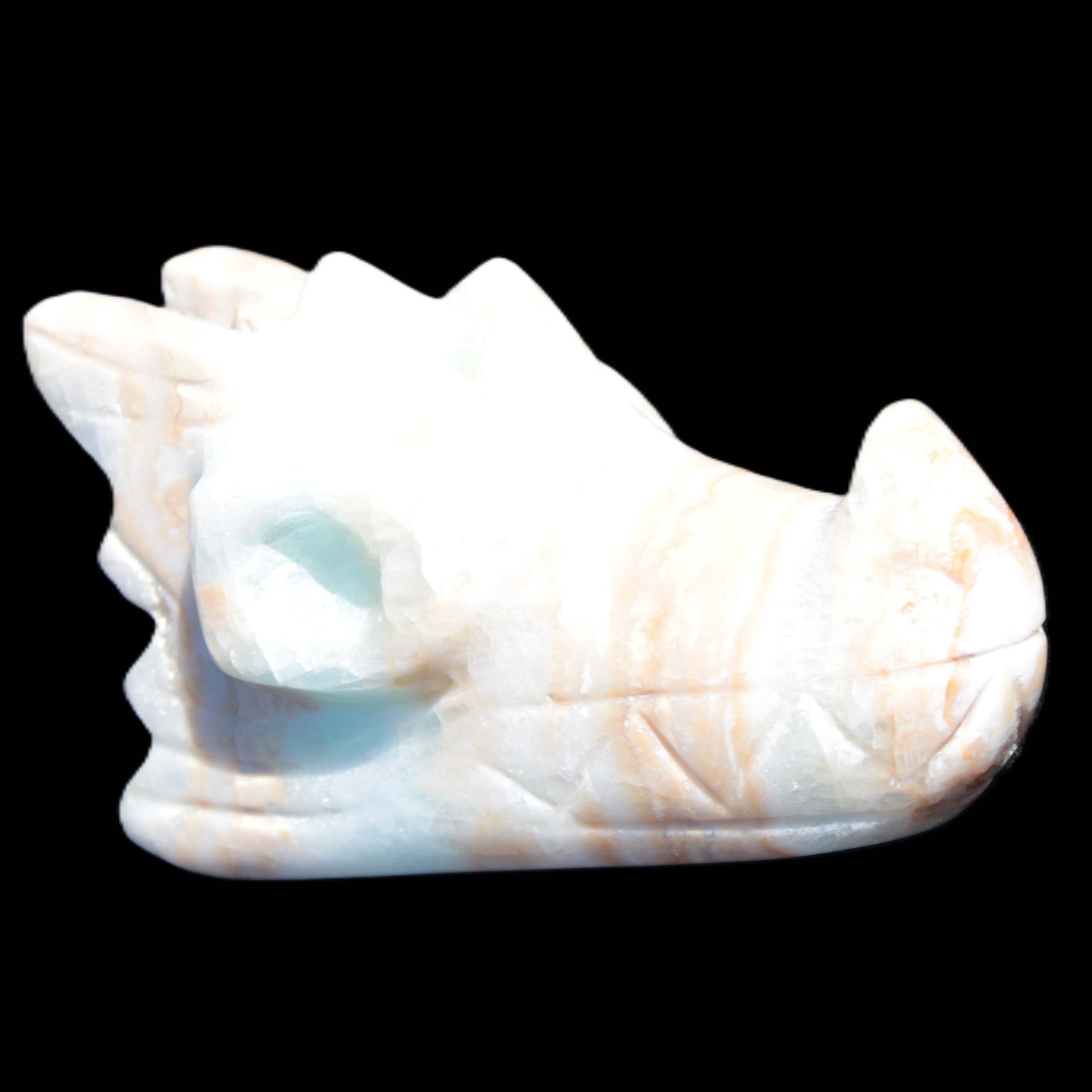 Caribbean Calcite hand-carved dragon's head 221.7g