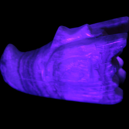 Caribbean Calcite hand-carved dragon's head 221.7g