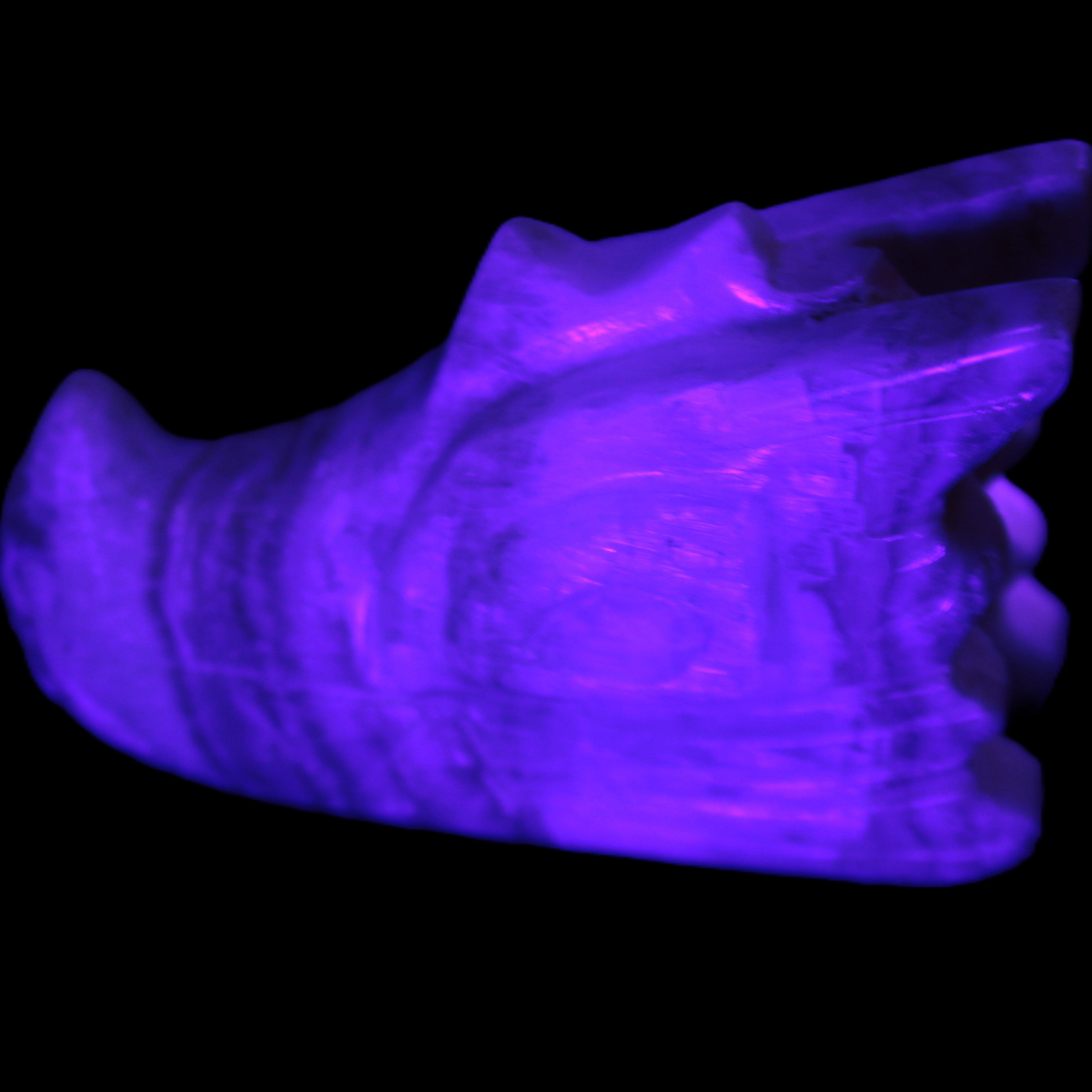 Caribbean Calcite hand-carved dragon's head 221.7g