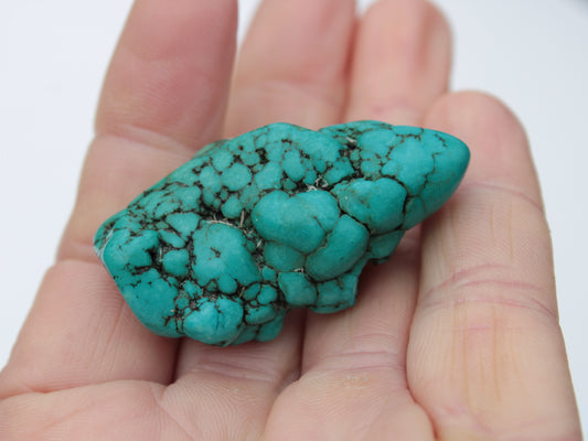 Turquoise natural Persian stone 25g Rocks and Things