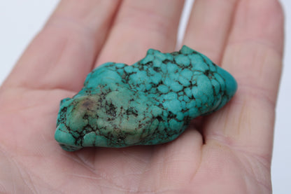 Turquoise natural Persian stone 25g Rocks and Things