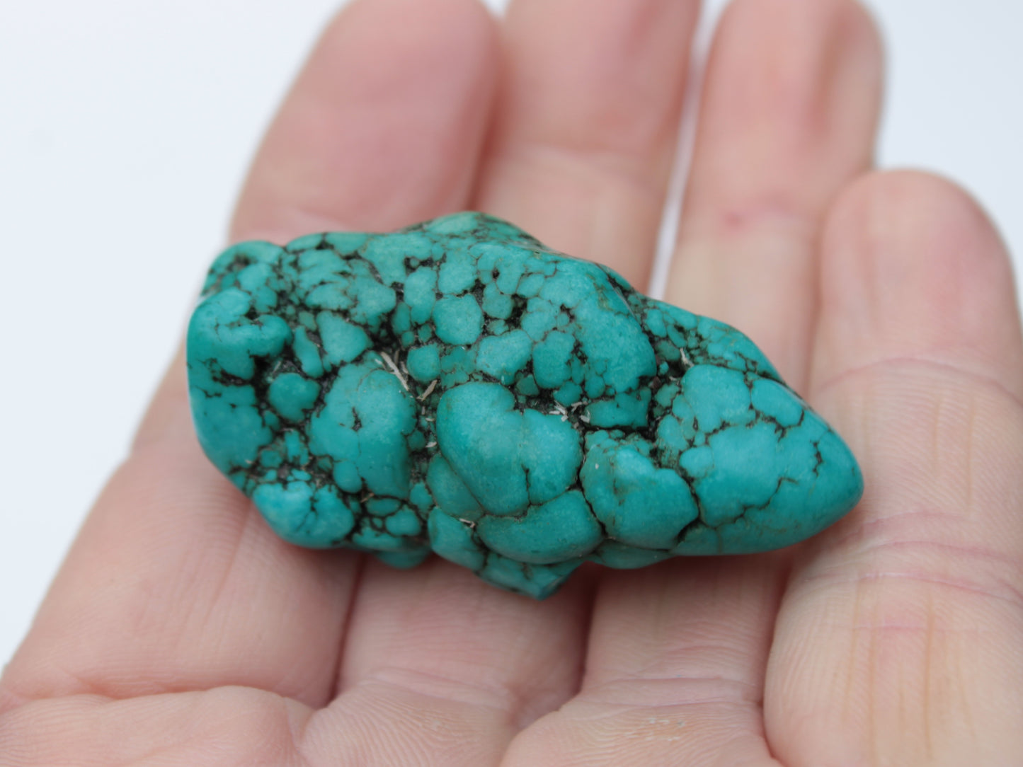 Turquoise natural Persian stone 25g Rocks and Things