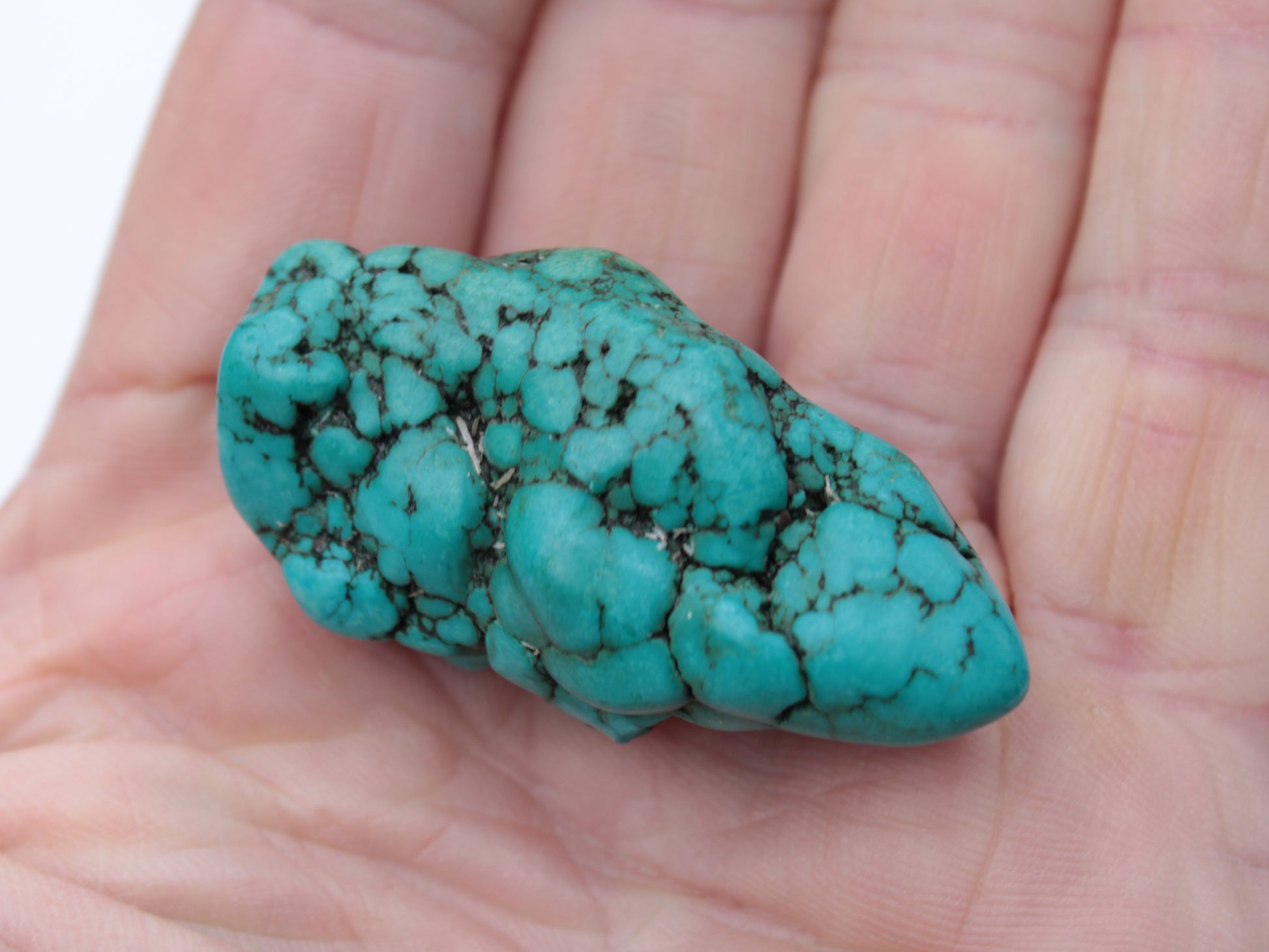 Turquoise natural Persian stone 25g Rocks and Things