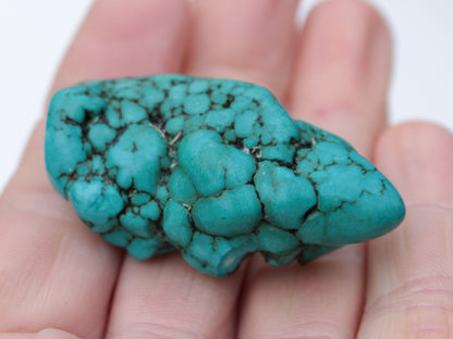 Turquoise natural Persian stone 25g Rocks and Things