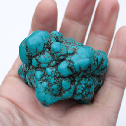 Persian Turquoise 133g Rocks and Things