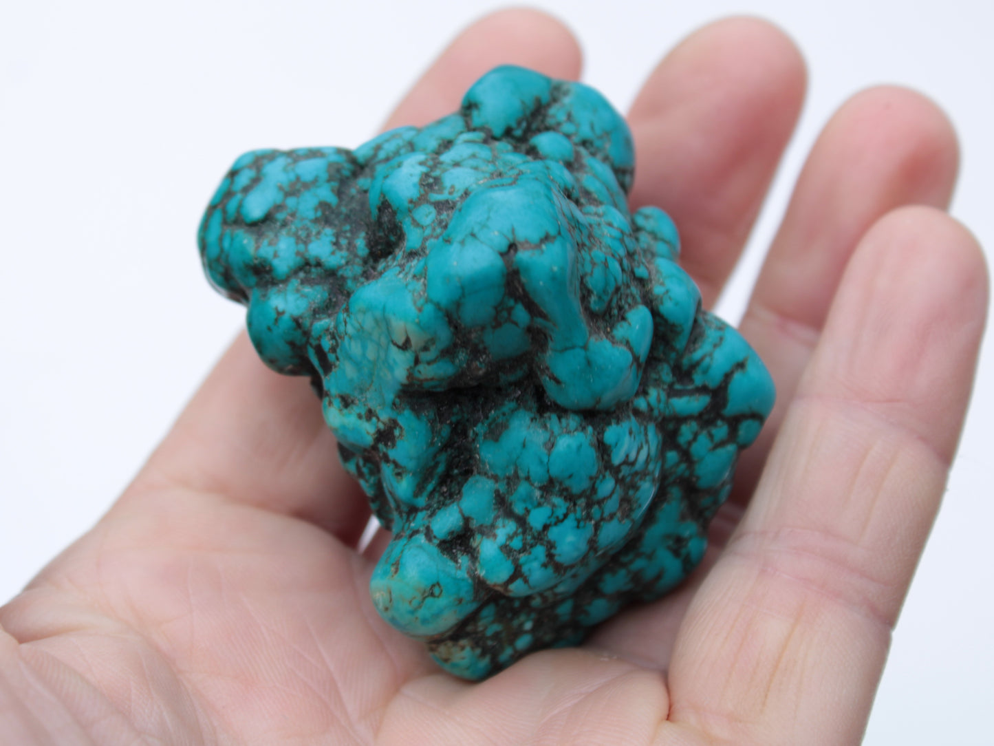 Persian Turquoise 133g Rocks and Things