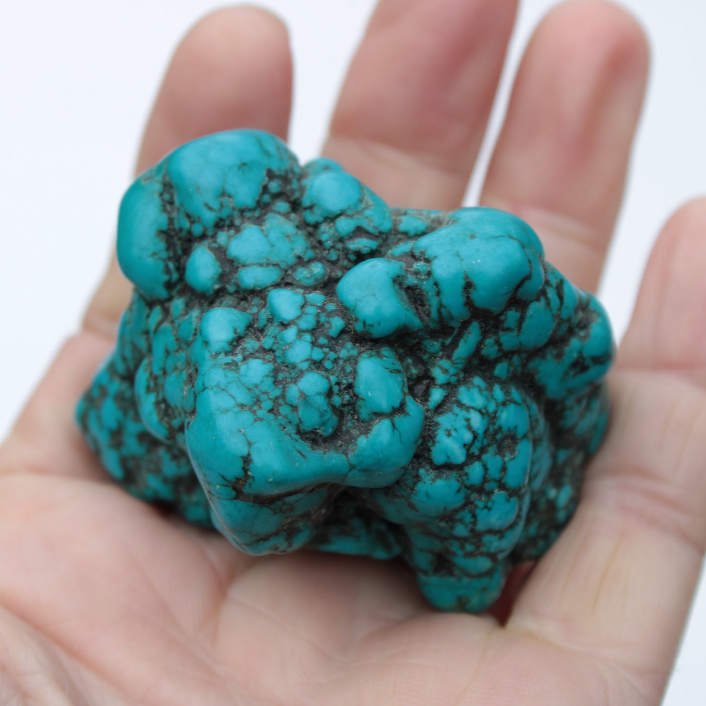 Persian Turquoise 133g Rocks and Things