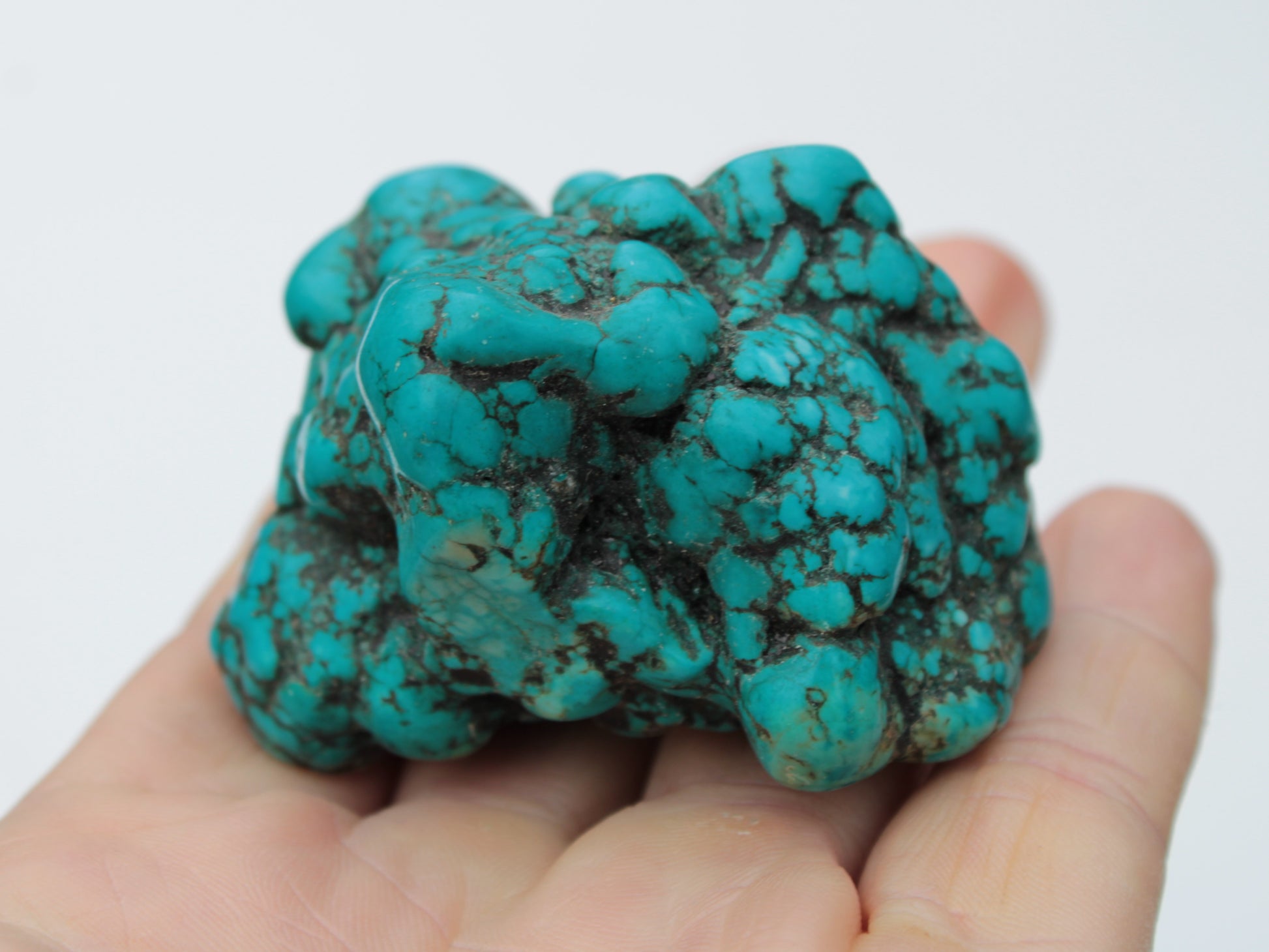 Persian Turquoise 133g Rocks and Things