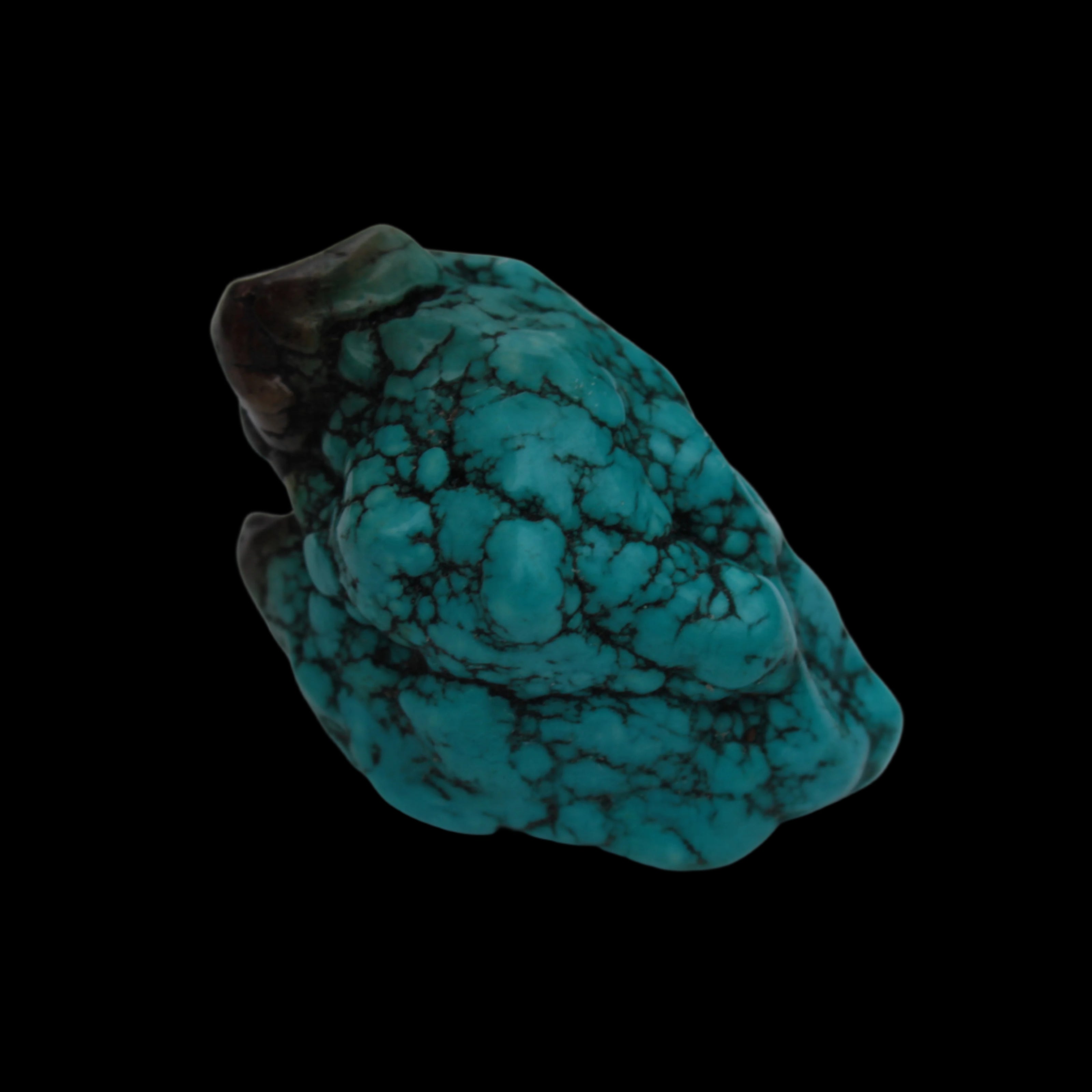 Persian Turquoise 43.8g - Rocks and Things Store