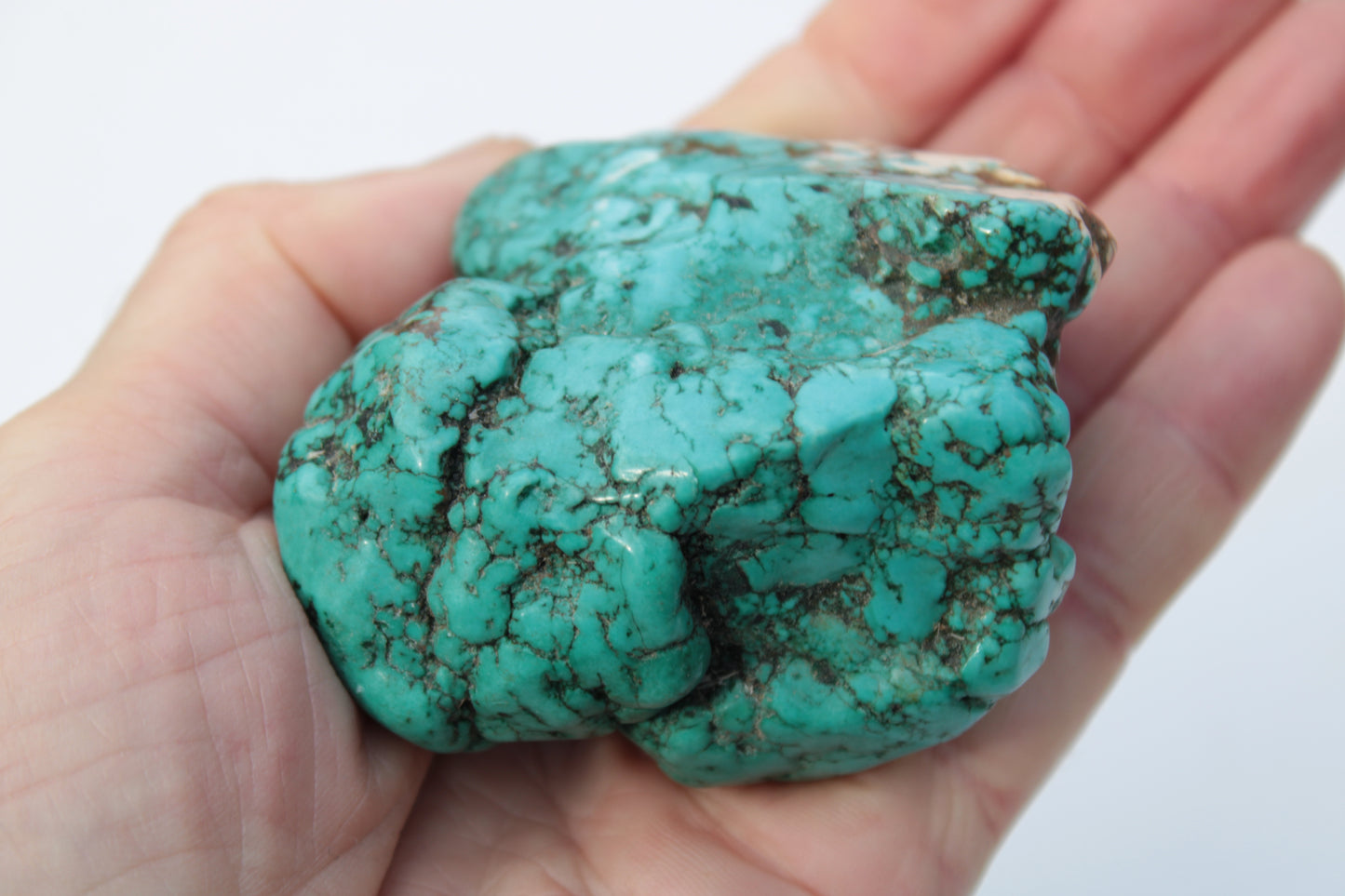 Persian Turquoise 250.9g Rocks and Things