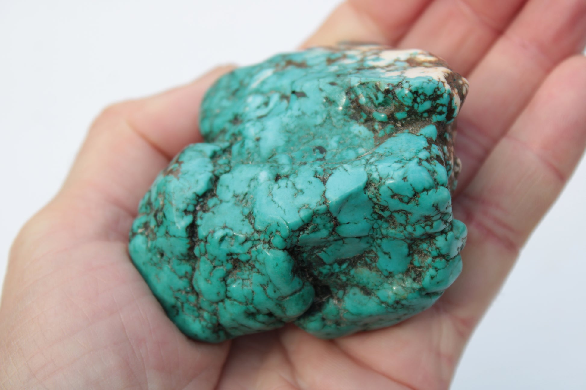 Persian Turquoise 250.9g Rocks and Things