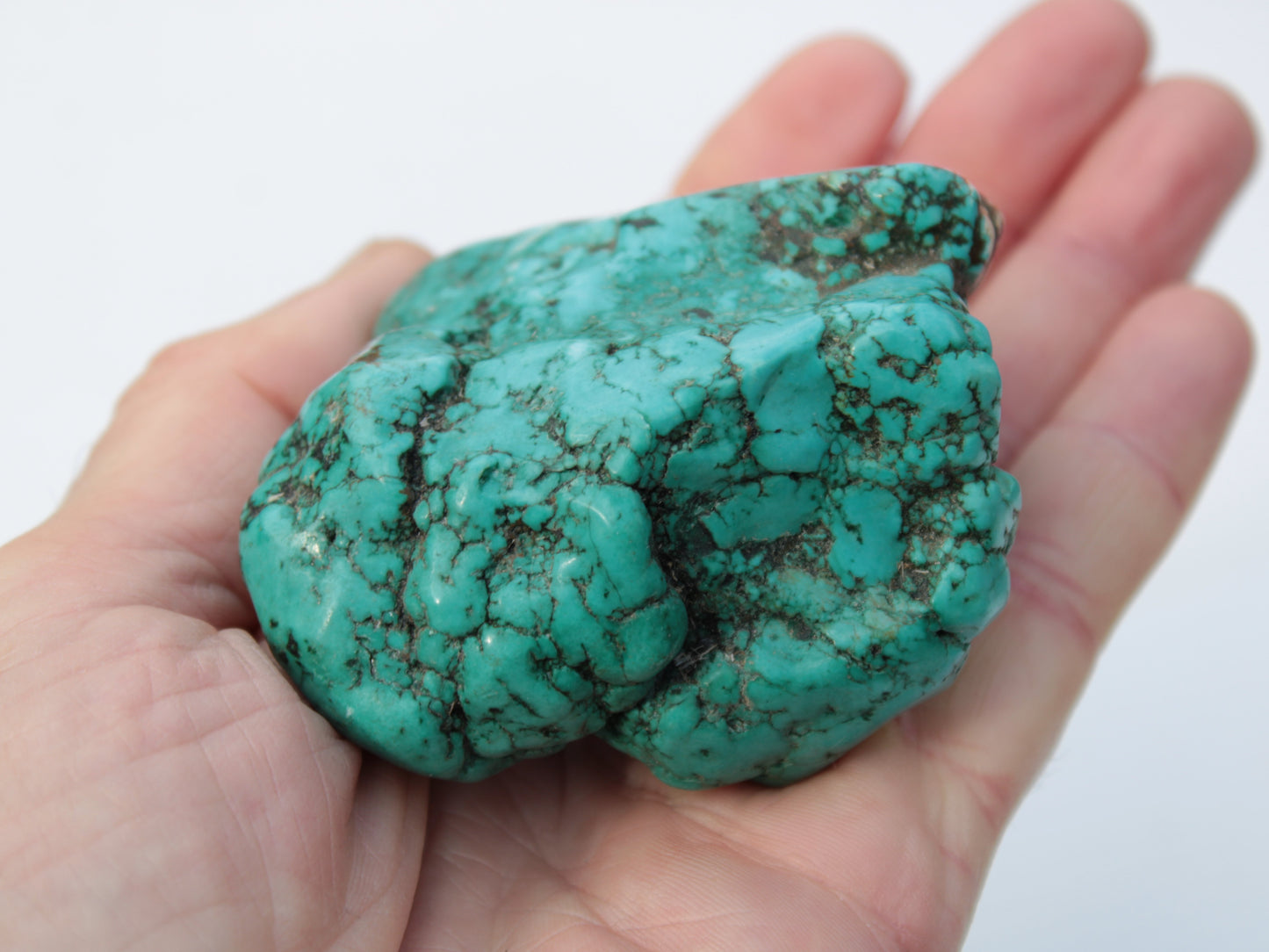 Persian Turquoise 250.9g Rocks and Things