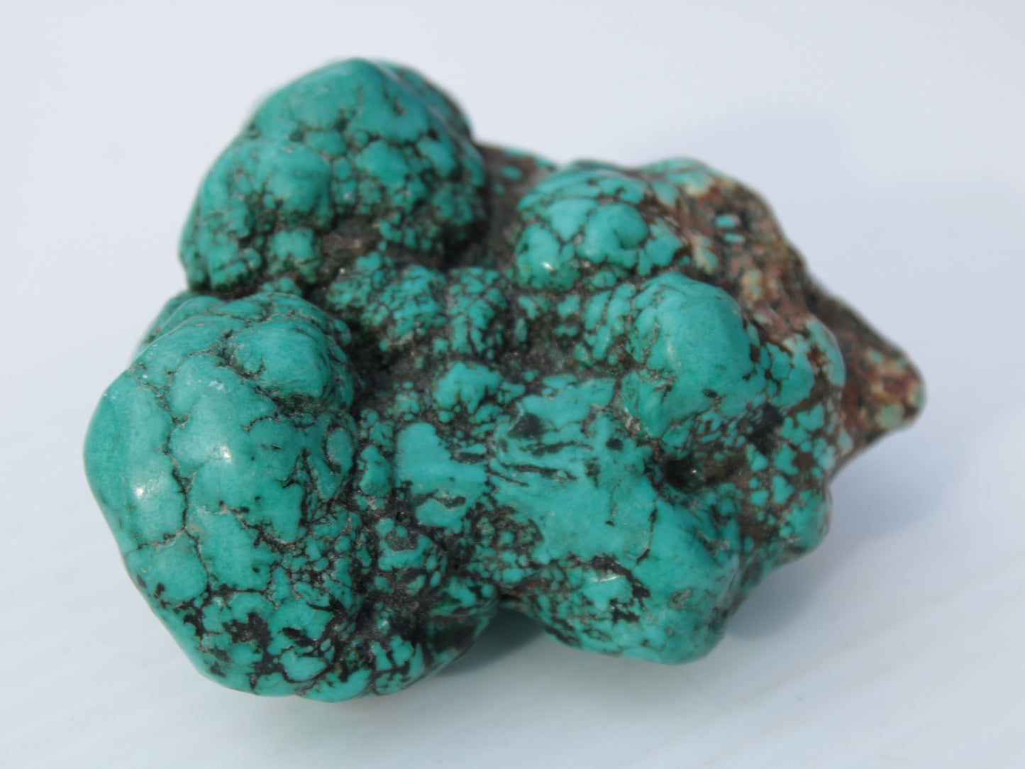 Persian Turquoise 250.9g Rocks and Things