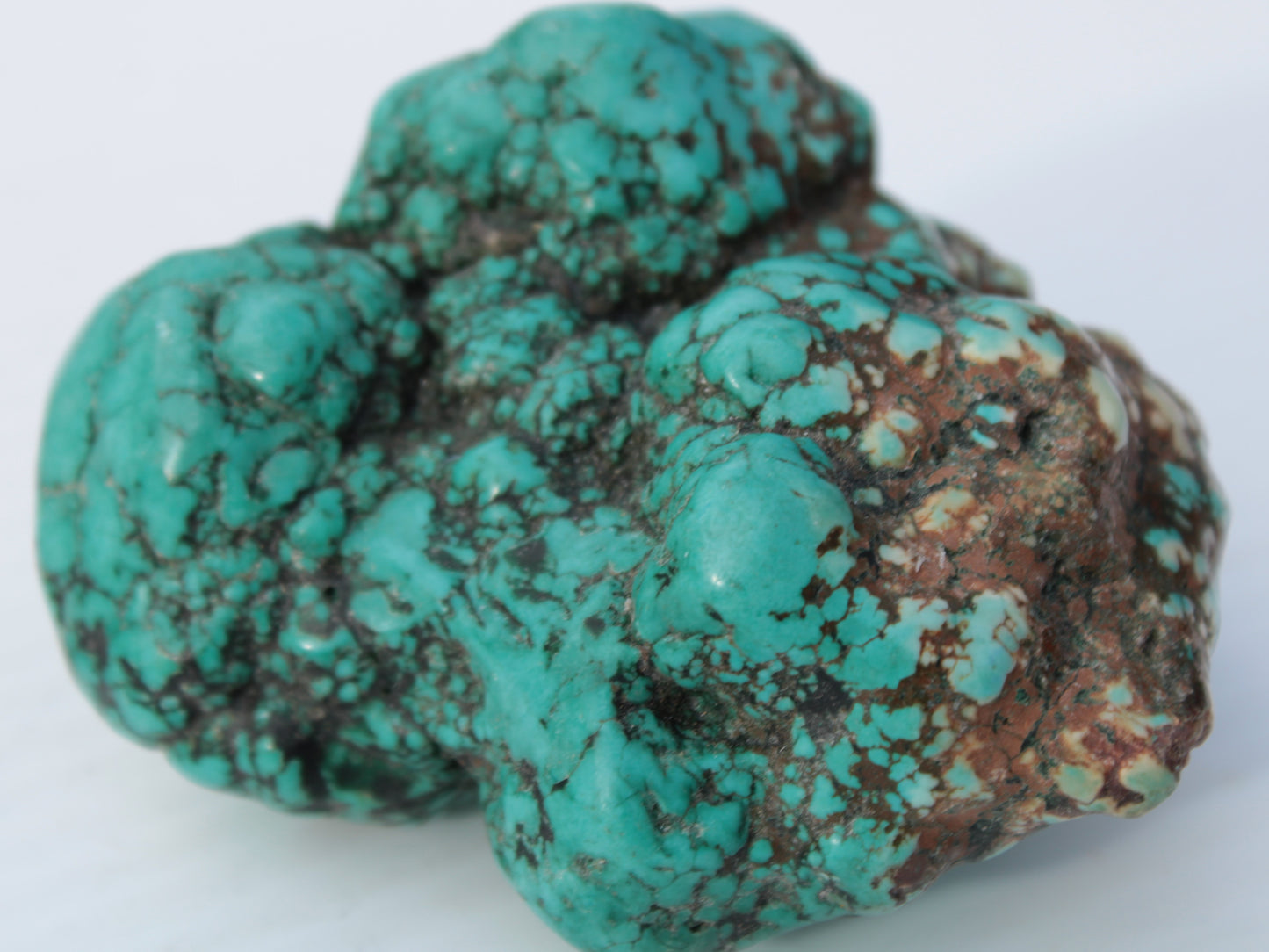 Persian Turquoise 250.9g Rocks and Things