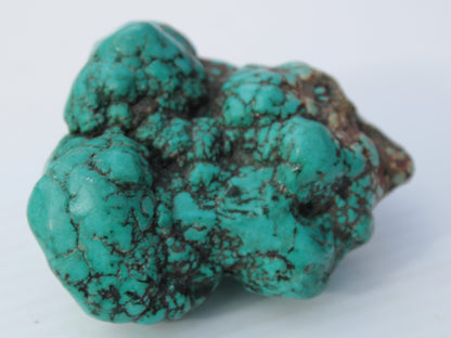 Persian Turquoise 250.9g Rocks and Things