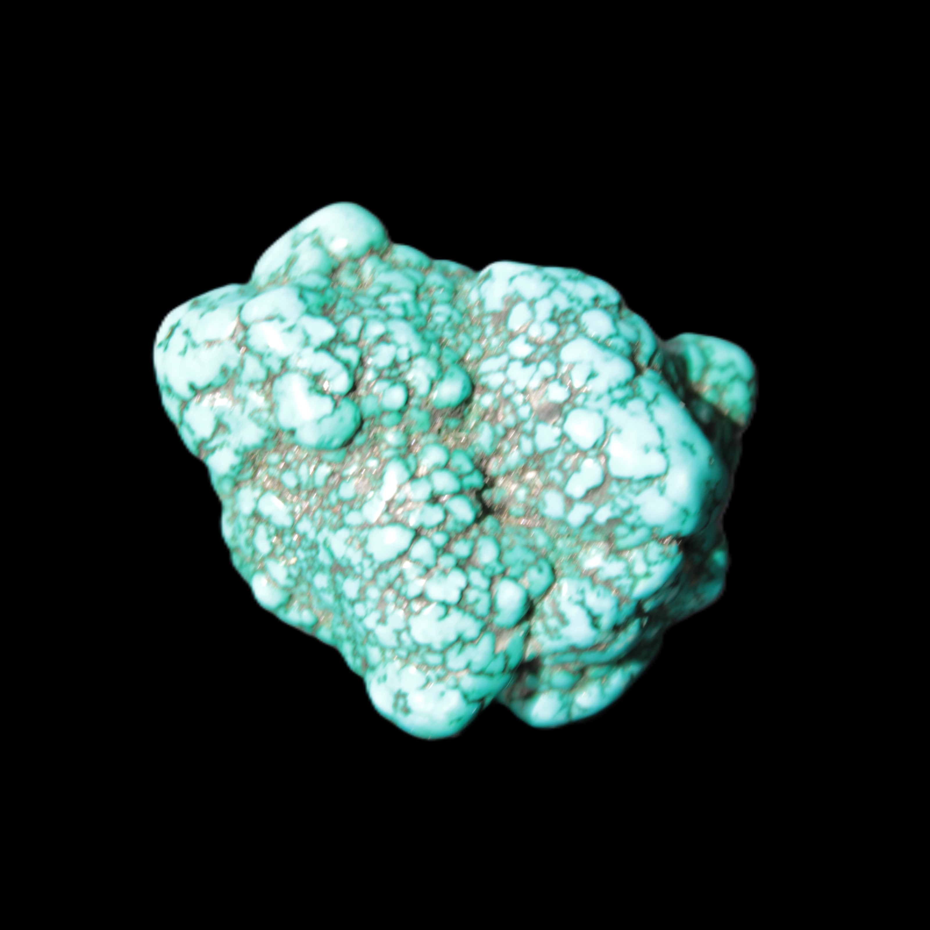 Persian Turquoise 33*45mm 55.9g