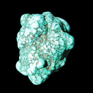 Persian Turquoise 33*45mm 55.9g
