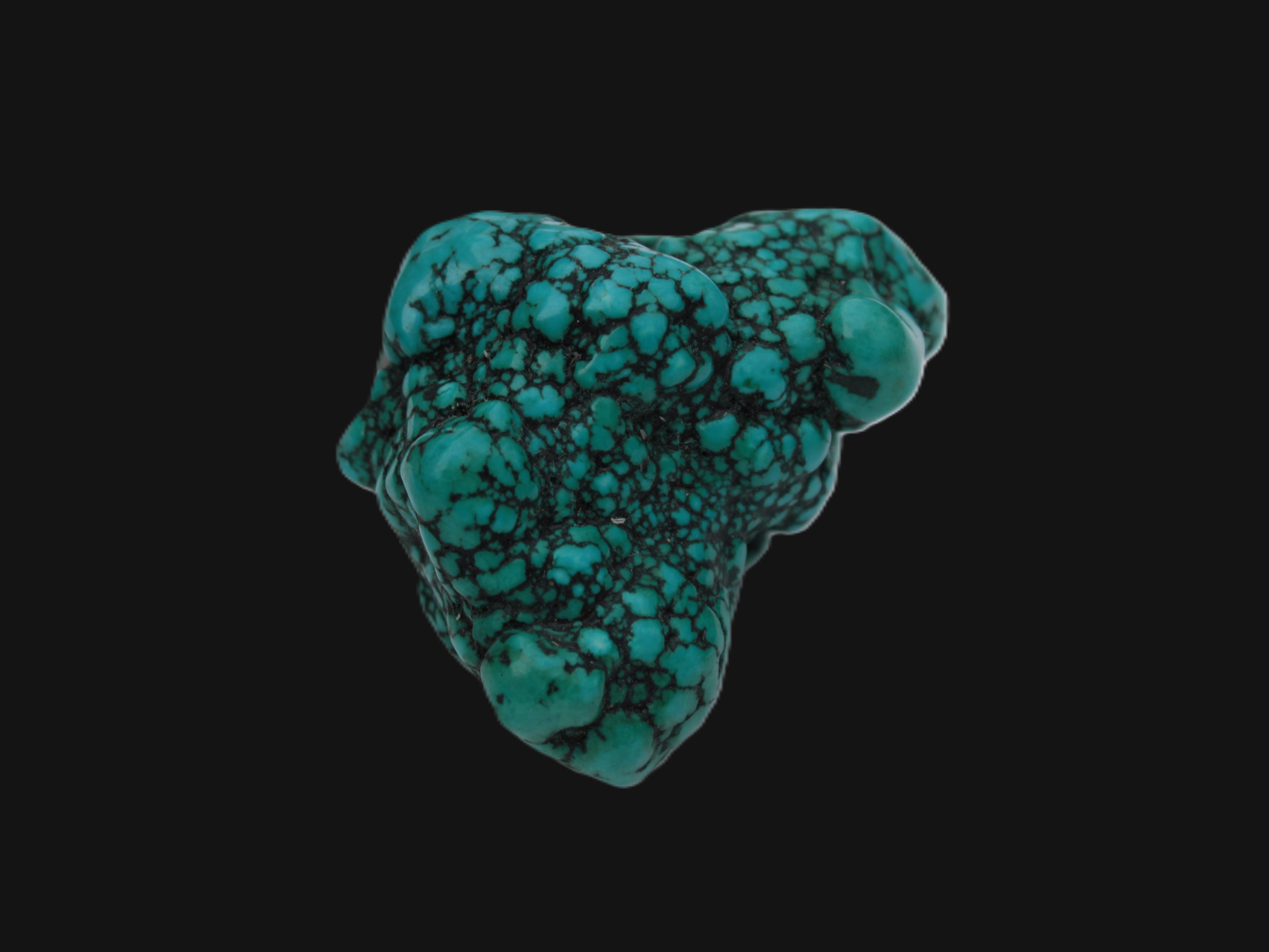 Persian Turquoise 55.8g Rocks and Things