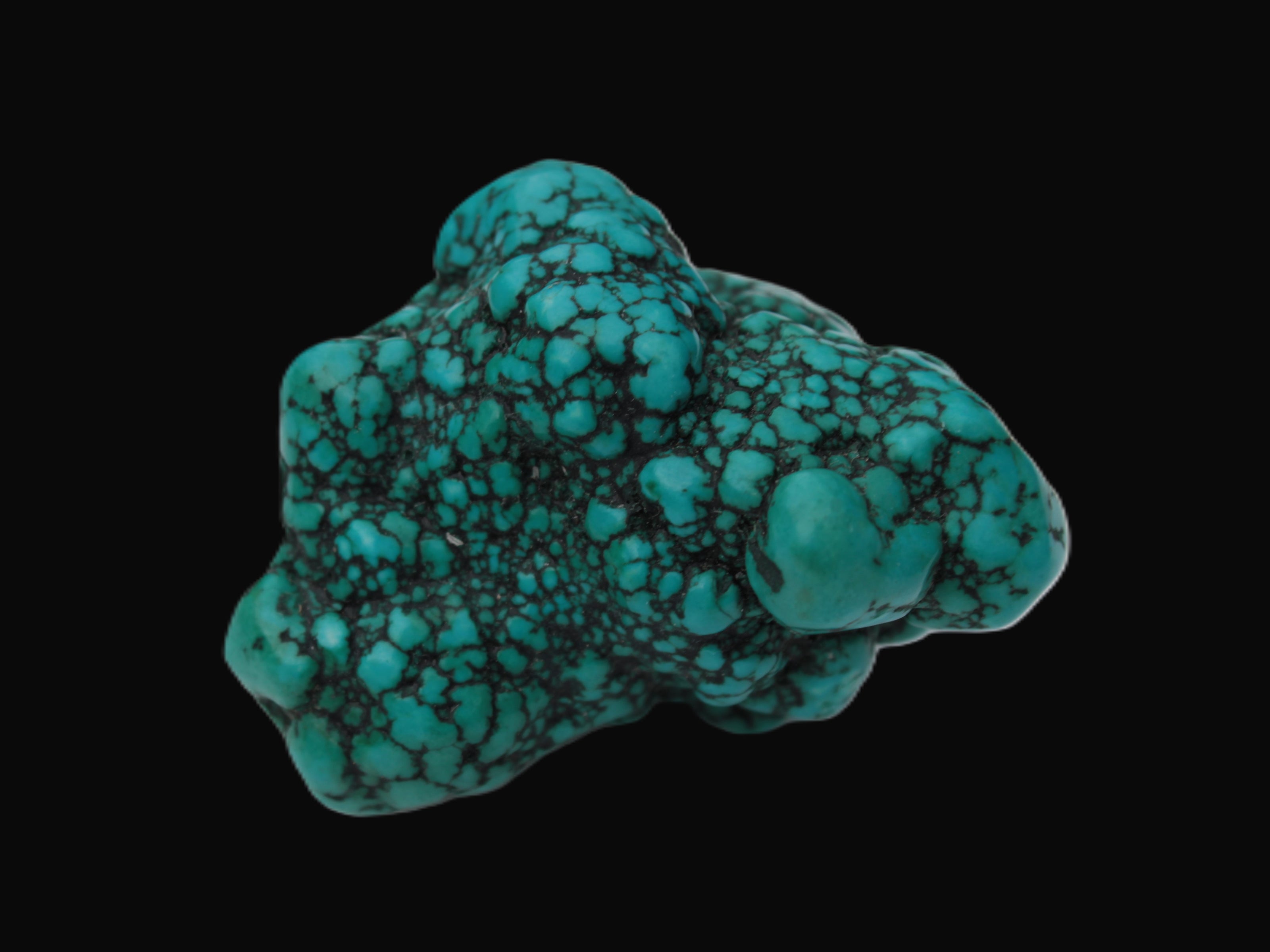 Persian Turquoise 55.8g Rocks and Things