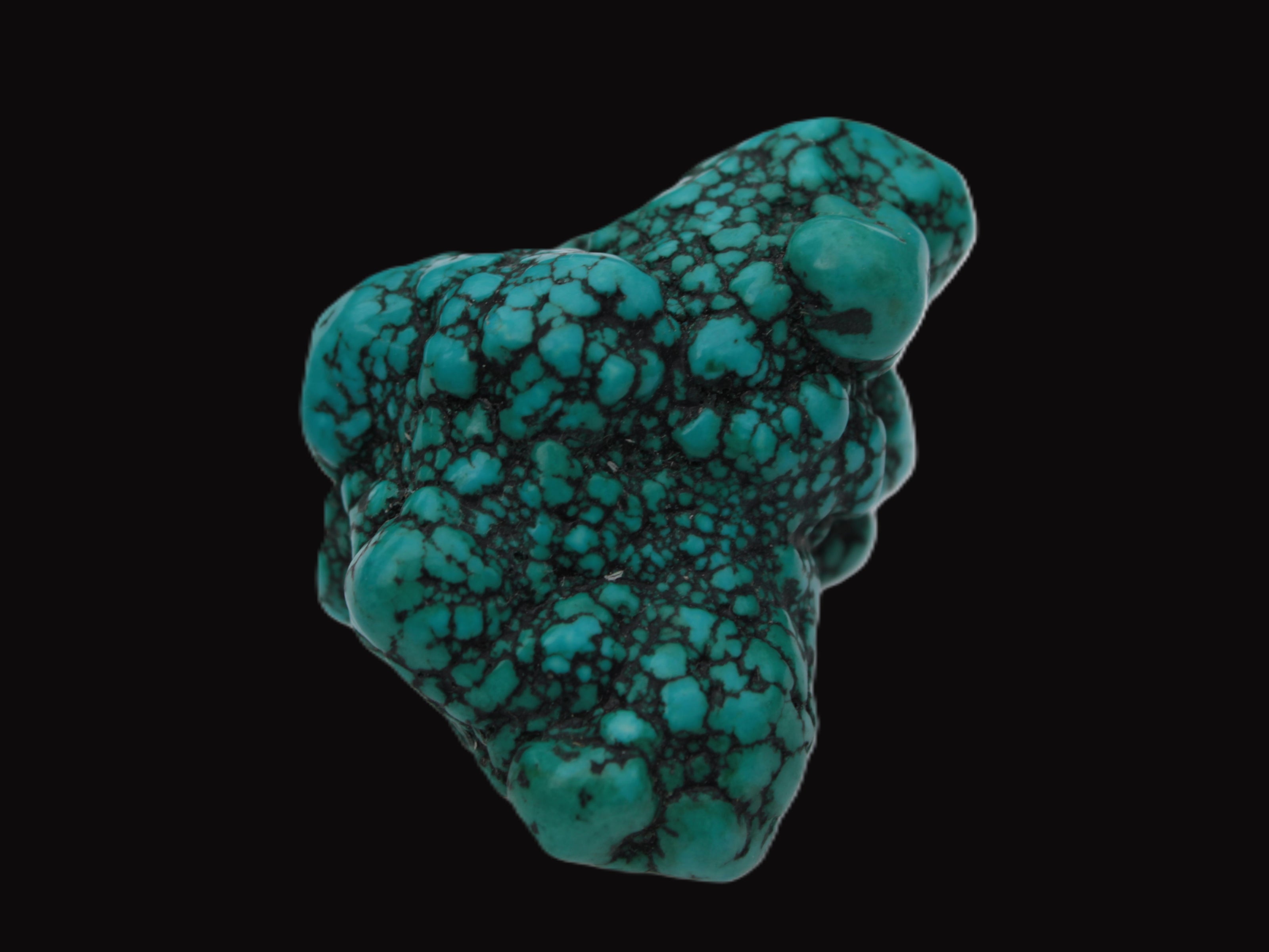 Persian Turquoise 55.8g Rocks and Things