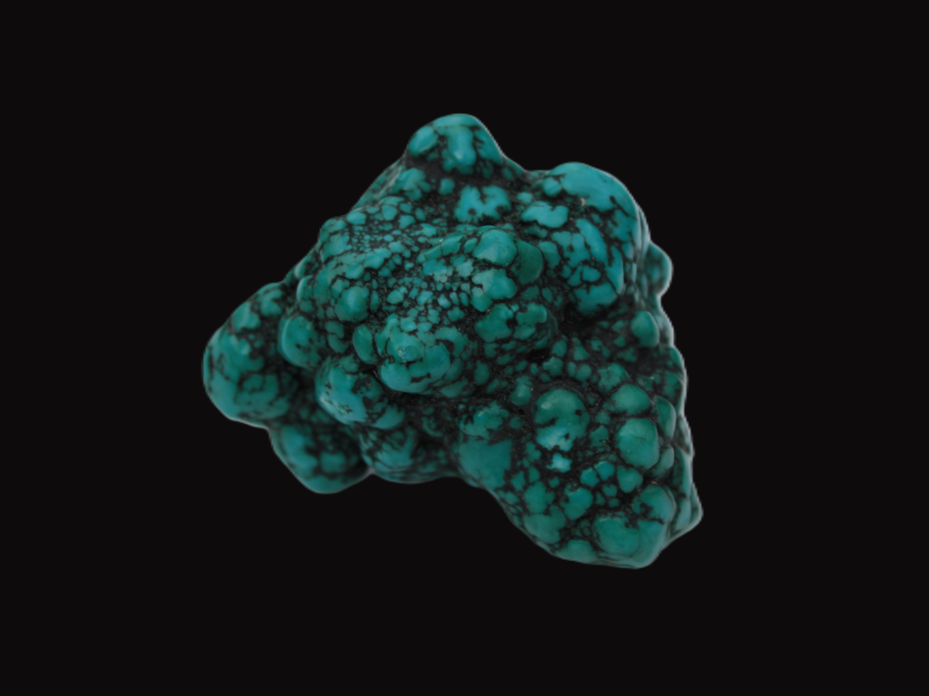 Persian Turquoise 55.8g Rocks and Things