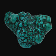 Persian Turquoise 55.8g Rocks and Things