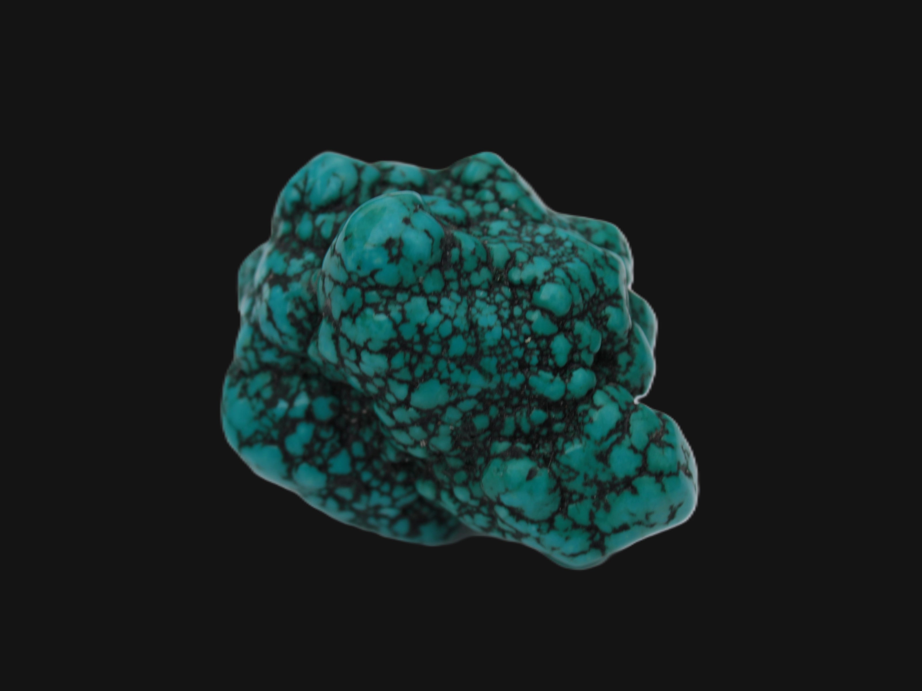 Persian Turquoise 55.8g Rocks and Things