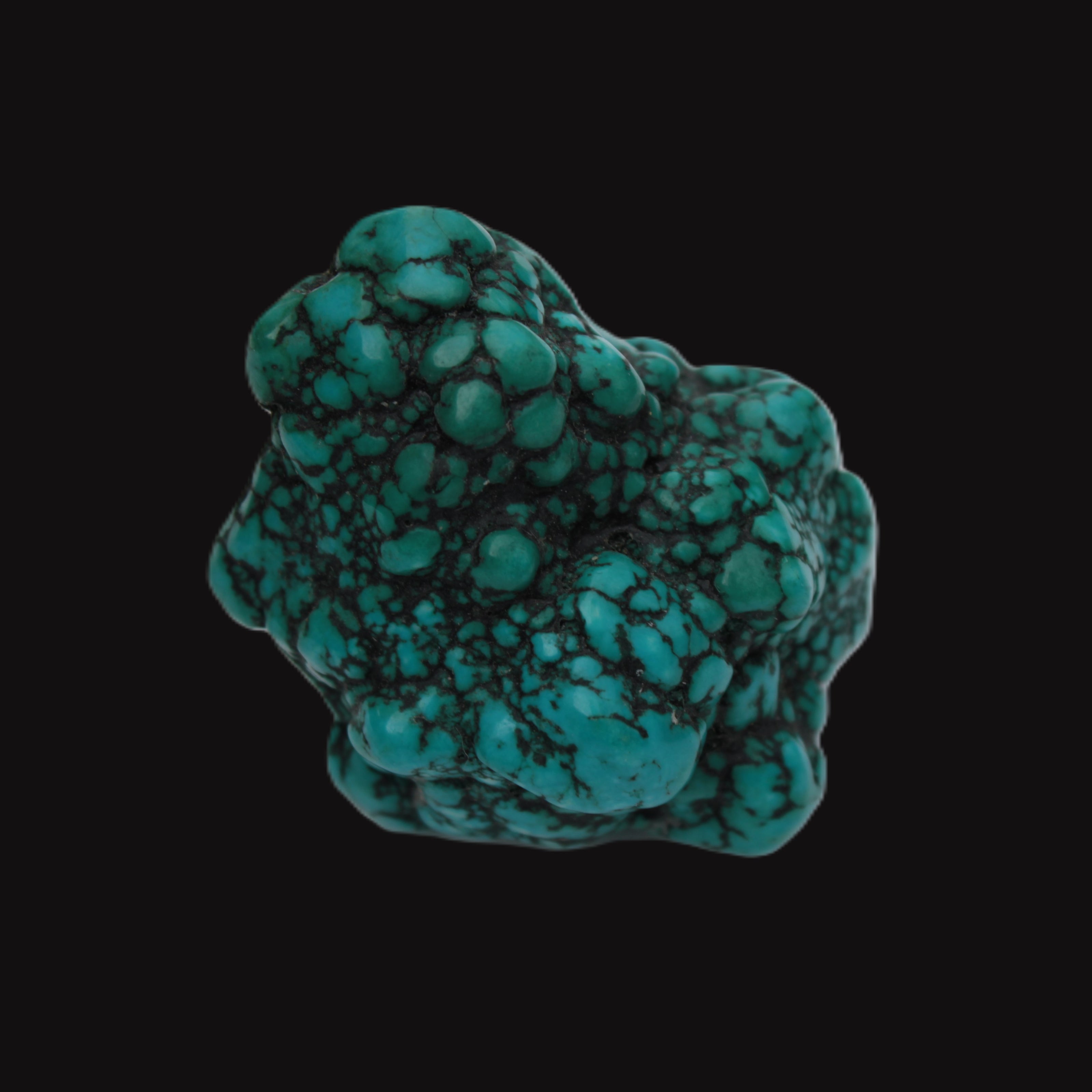 Persian Turquoise 55.8g Rocks and Things