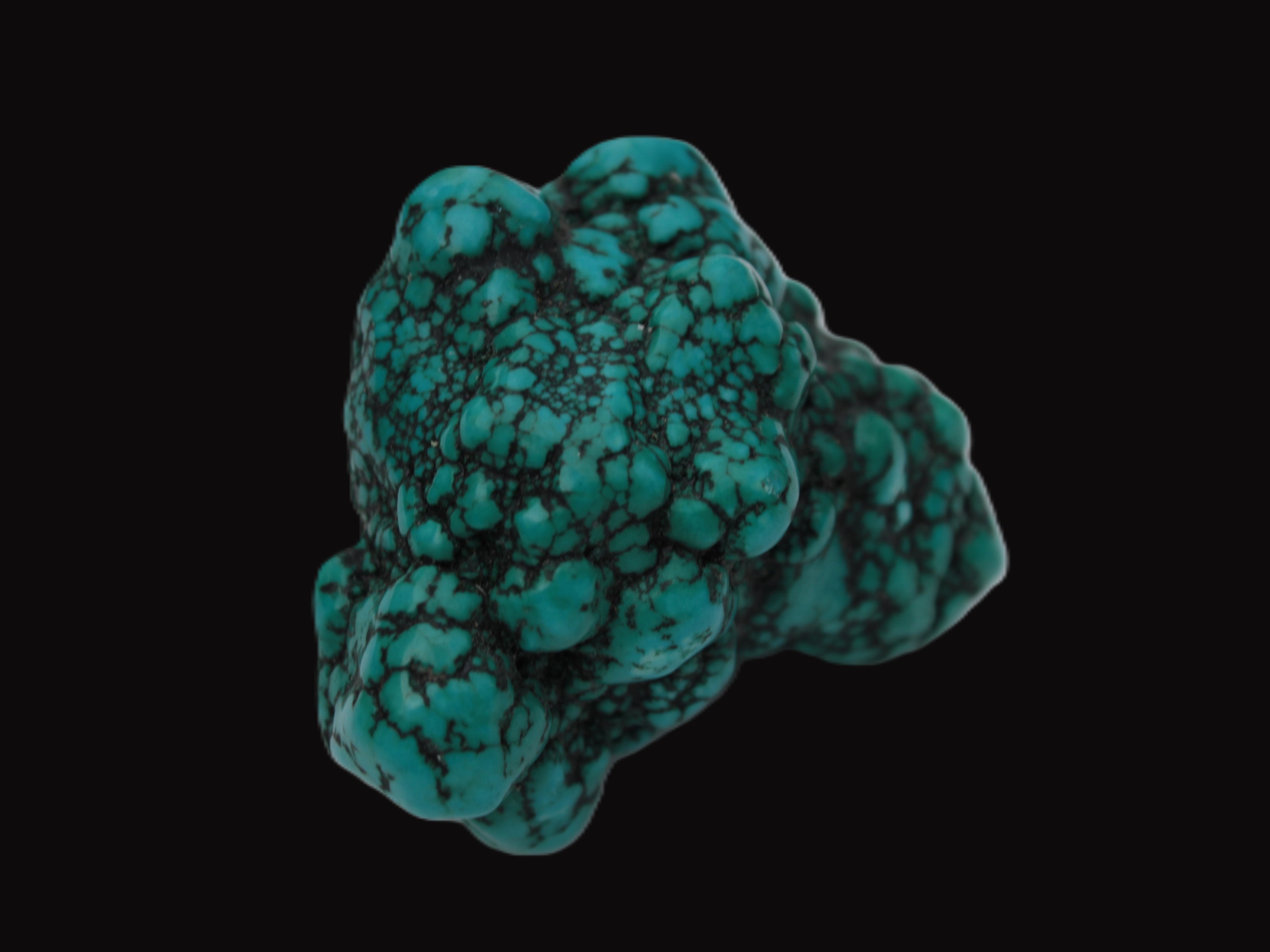 Persian Turquoise 55.8g Rocks and Things