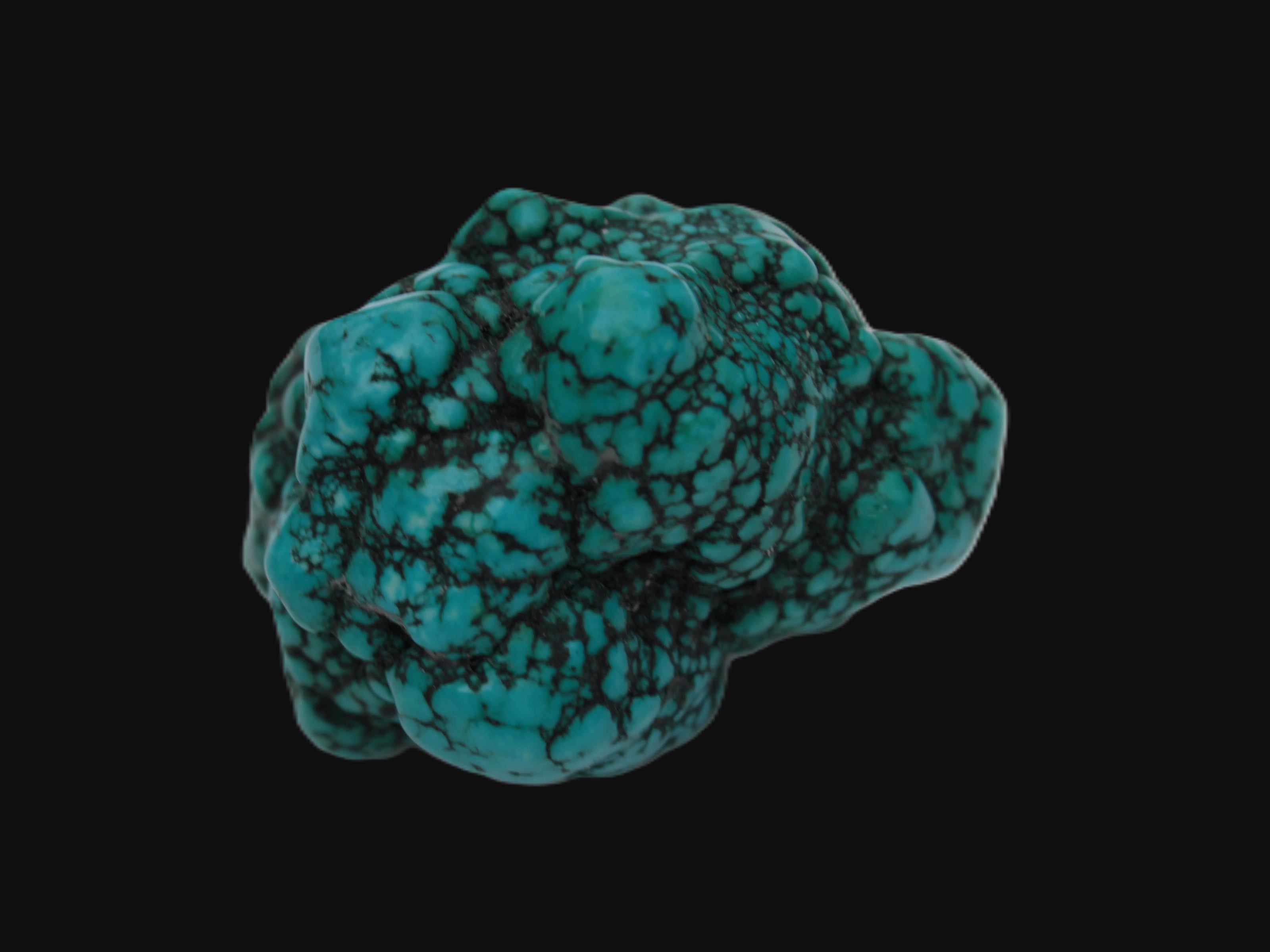 Persian Turquoise 55.8g Rocks and Things