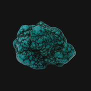 Persian Turquoise 55.8g Rocks and Things