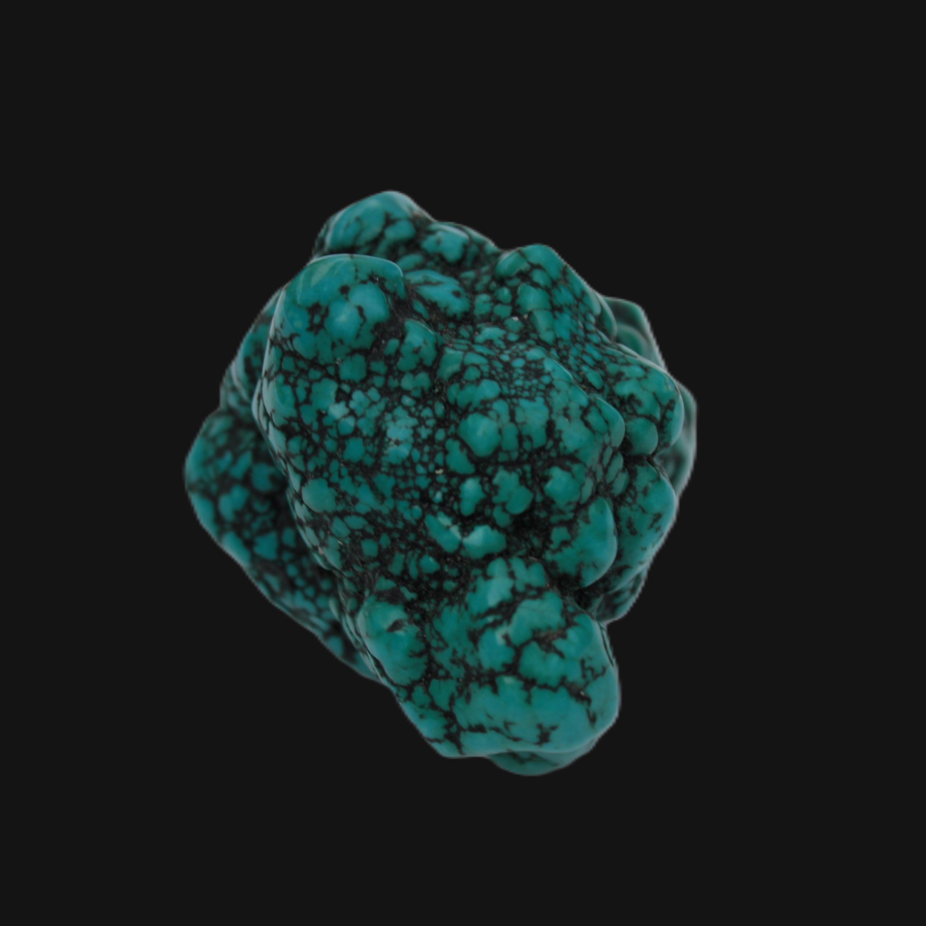 Persian Turquoise 55.8g Rocks and Things