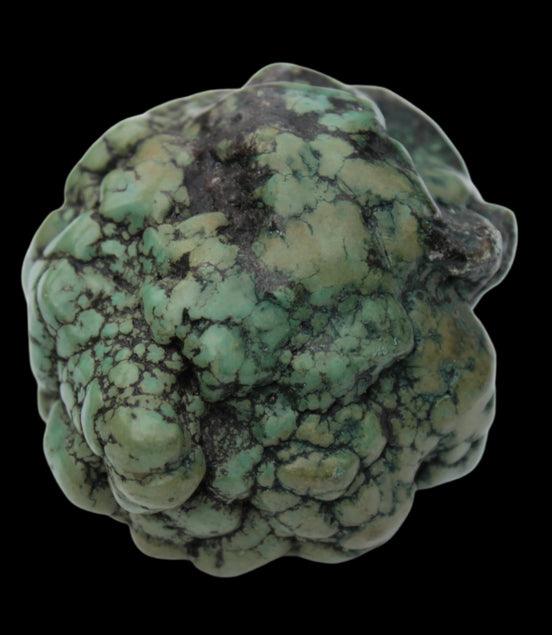 Persian Turquoise natural nodule stone 132.9g Rocks and Things