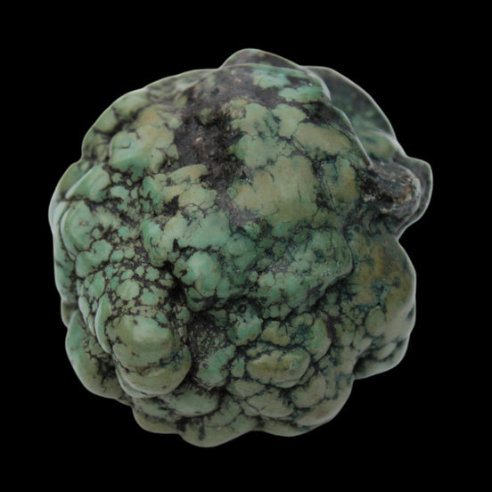 Persian Turquoise natural nodule stone 132.9g Rocks and Things