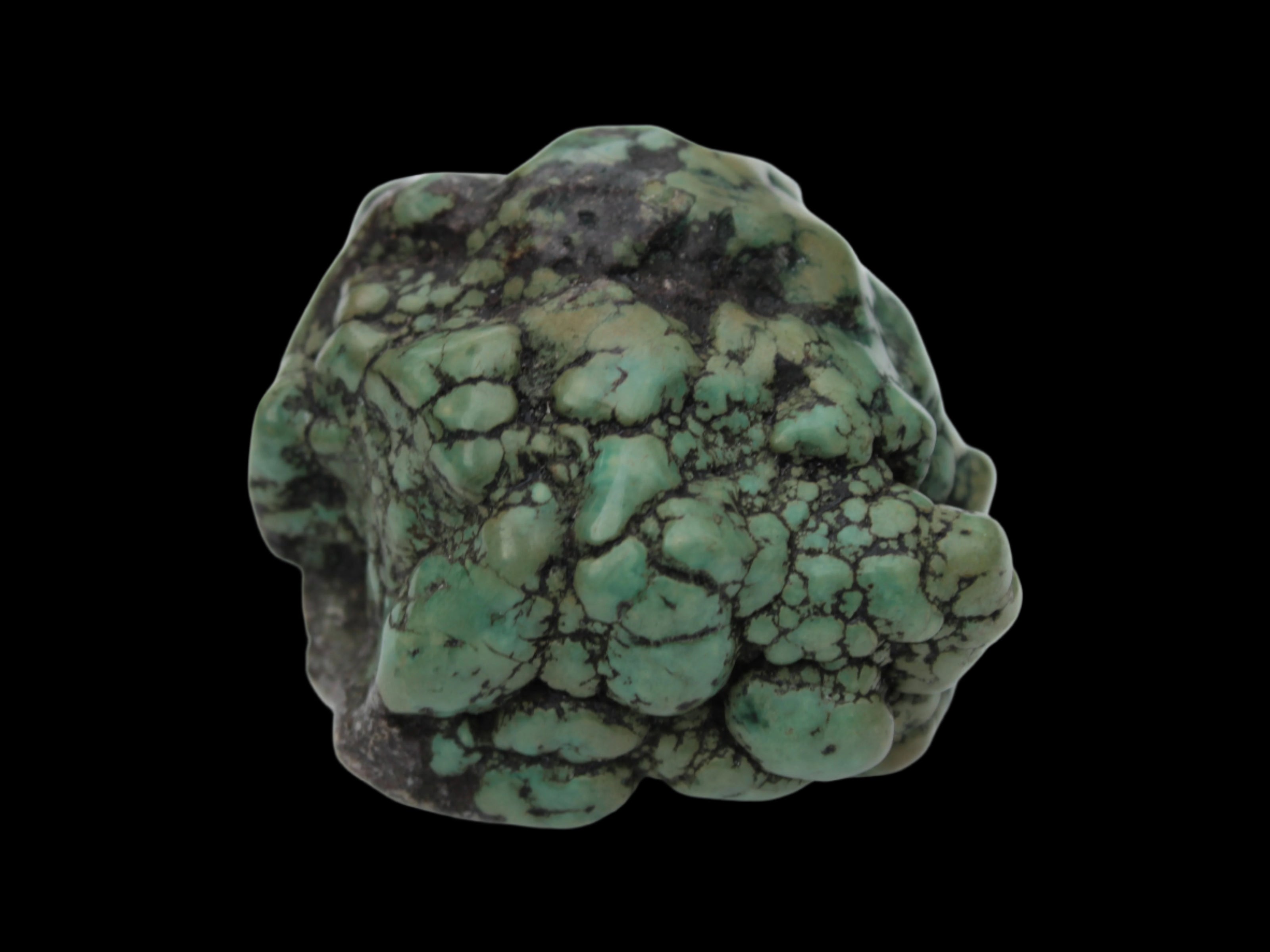 Persian Turquoise natural nodule stone 132.9g Rocks and Things