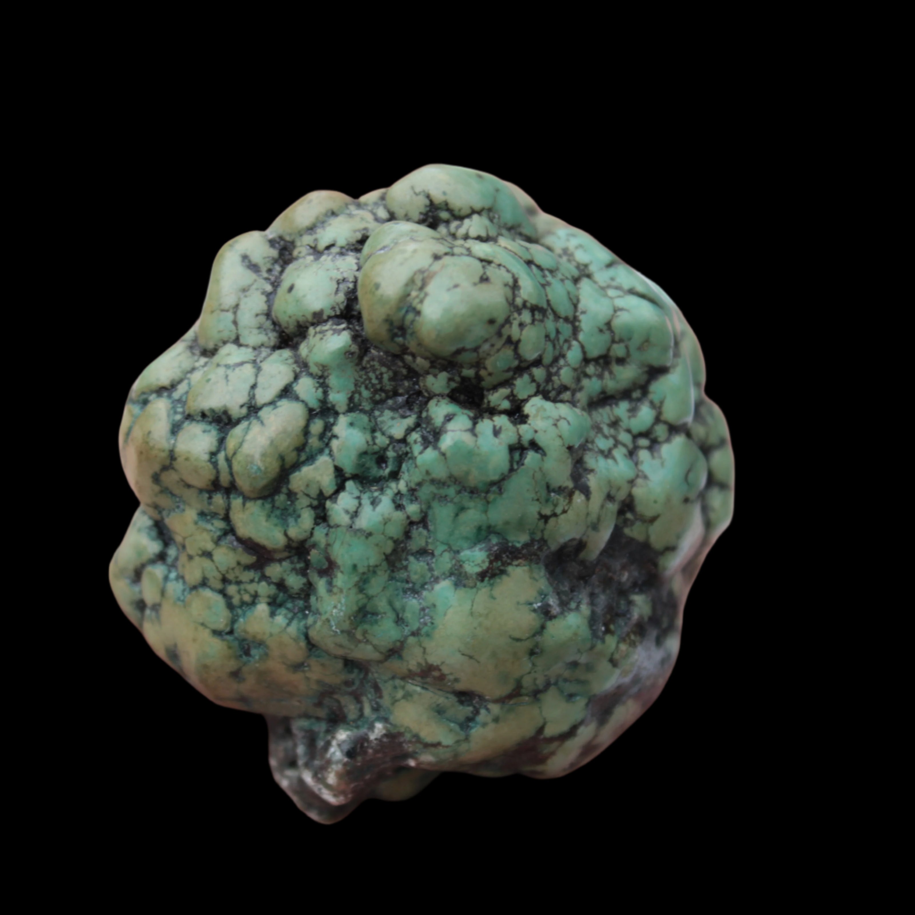 Persian Turquoise natural nodule stone 132.9g - Rocks and Things Store