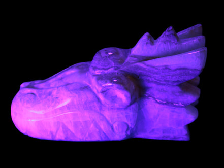 Caribbean Calcite hand-carved dragon's head 770g