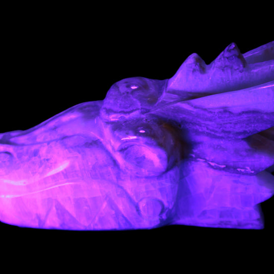 Caribbean Calcite hand-carved dragon's head 770g in UV light- Rocks and Things Store