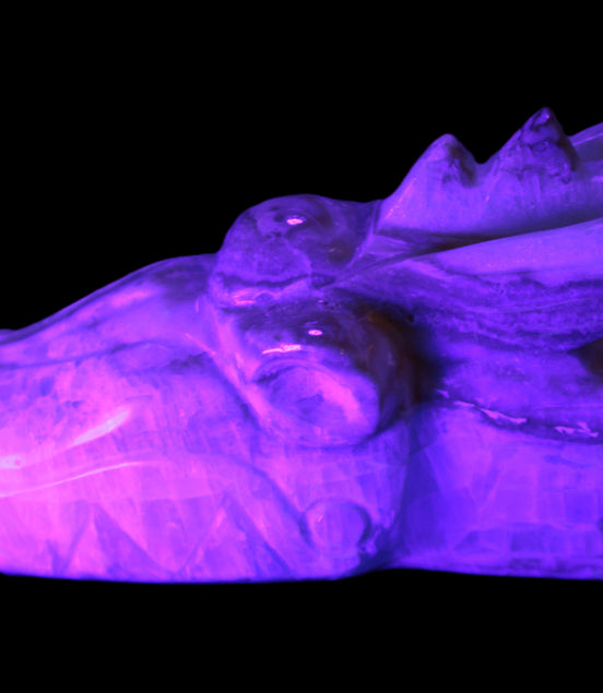 Caribbean Calcite hand-carved dragon's head 770g