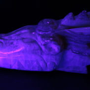 Caribbean Calcite hand-carved dragon's head 770g