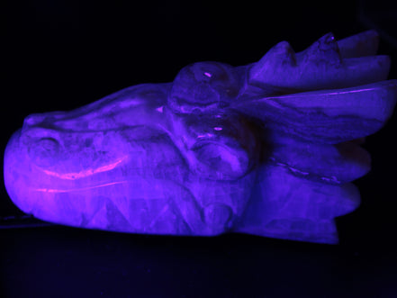 Caribbean Calcite hand-carved dragon's head 770g
