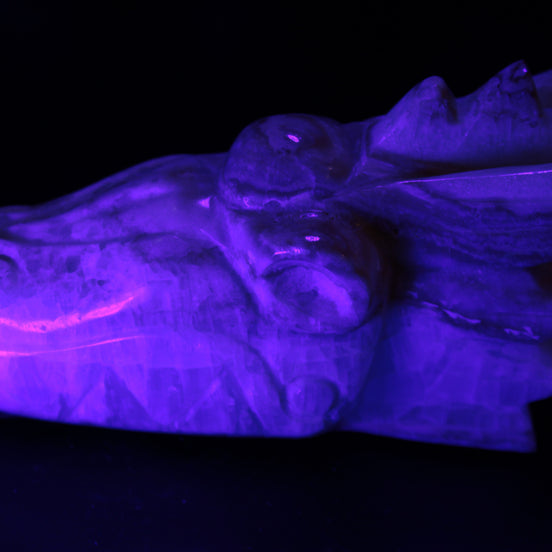 Caribbean Calcite hand-carved dragon's head 770g in UV light- Rocks and Things Store