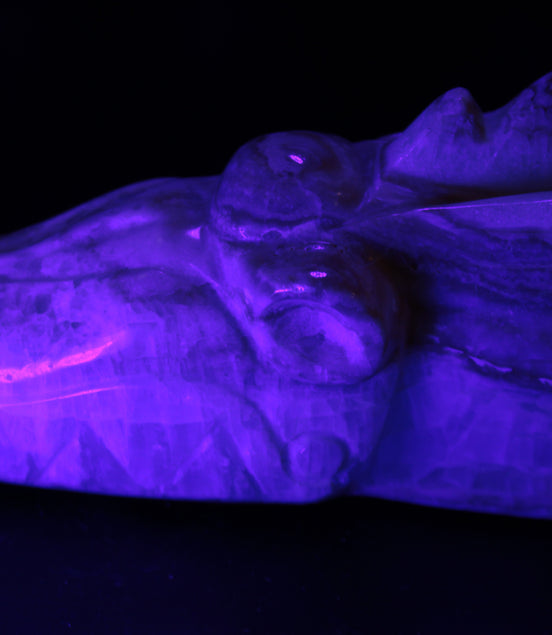 Caribbean Calcite hand-carved dragon's head 770g
