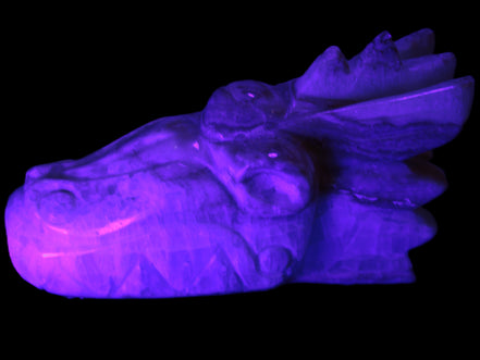 Caribbean Calcite hand-carved dragon's head 770g