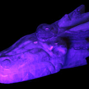 Caribbean Calcite hand-carved dragon's head 770g