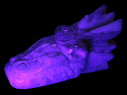 Caribbean Calcite hand-carved dragon's head 770g