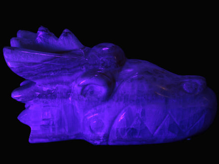 Caribbean Calcite hand-carved dragon's head 770g