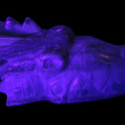 Caribbean Calcite hand-carved dragon's head 770g