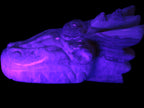 Caribbean Calcite hand-carved dragon's head 770g