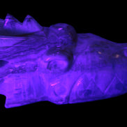 Caribbean Calcite hand-carved dragon's head 770g